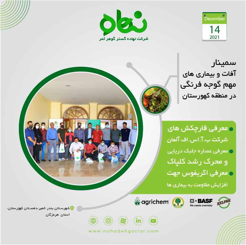 کلیپ سمینار آفات و بیماری های گوجه فرنگی در منطقه کهورستان 1400